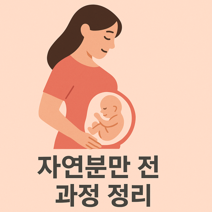 진통에서 출산까지, 자연분만 A to Z – 단계별 출산과정 완전정리 : 네이버 블로그