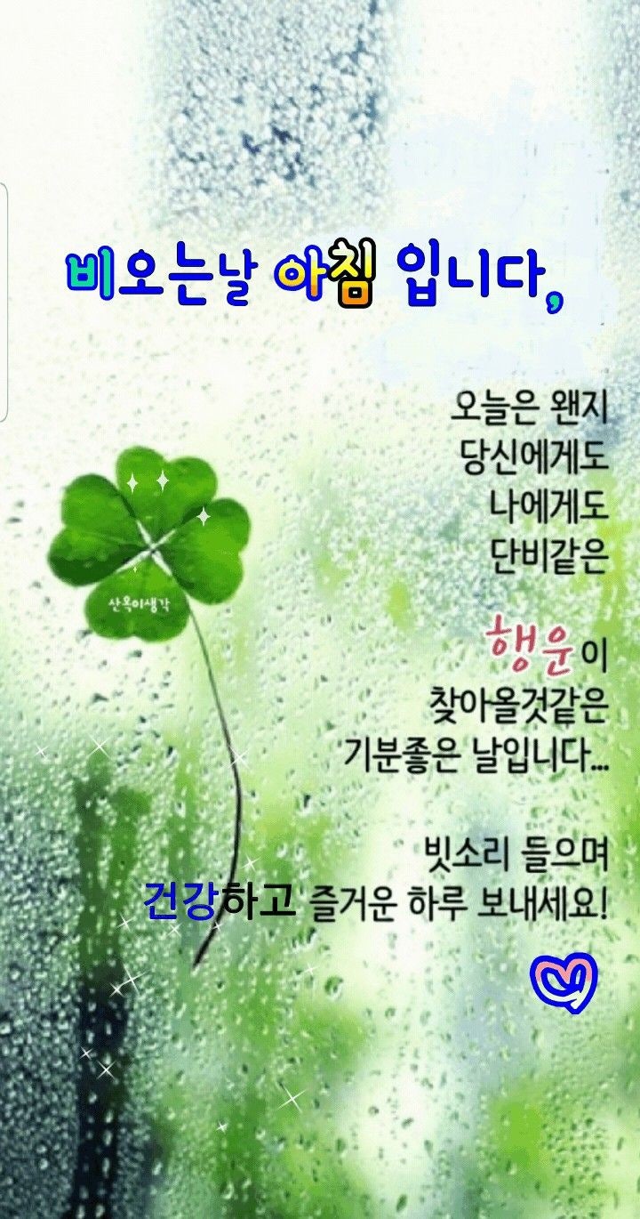 비오는 날 아침 좋은글 인사말 이미지 모음 : 네이버 블로그