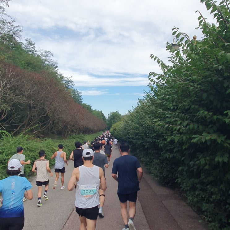 제15회 2025 스마일런 RUN 페스티벌 대회 10km완주 후기