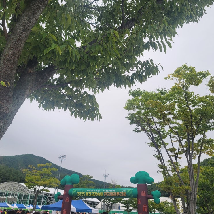 2025 울진 금강송배 전국마라톤 대회(하프) 후기