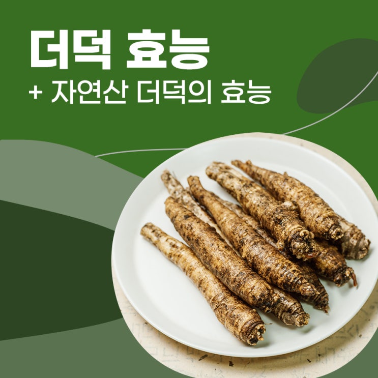 더덕 – 깐더덕 고르는 법부터 자연산더덕 효능까지 한눈에 알아보기 : 네이버 블로그