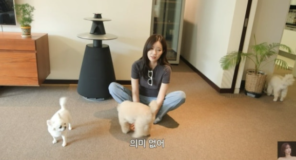[프로필] "임수향", 번아웃 고백 “억대 슈퍼카 팔았다…다 비울 것” (ft.나이, 키, 혈액형, 가....