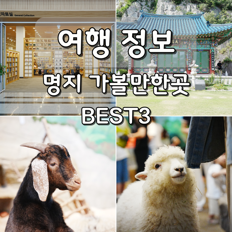 부산 명지 놀거리 가볼만한곳 라라쥬동물원 국회부산도서관