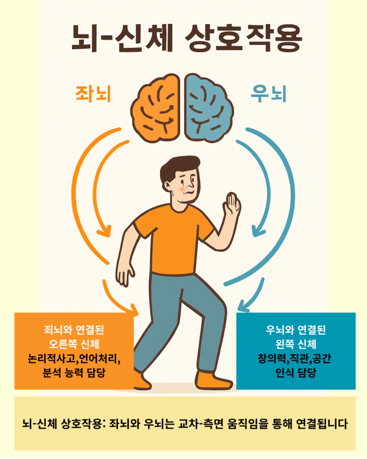 하루 10분, 뇌체조로 뇌 나이를 되돌리는 비밀 습관! : 네이버 블로그