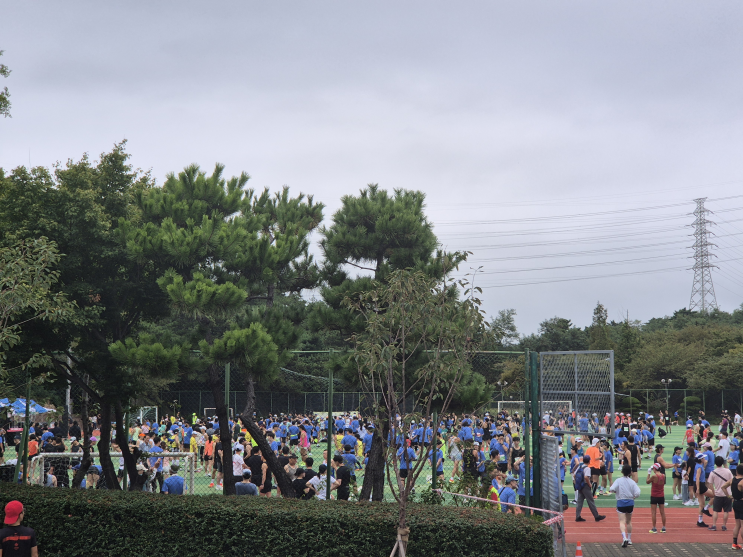 울산 염포산마라톤 완주후기(11.2km)