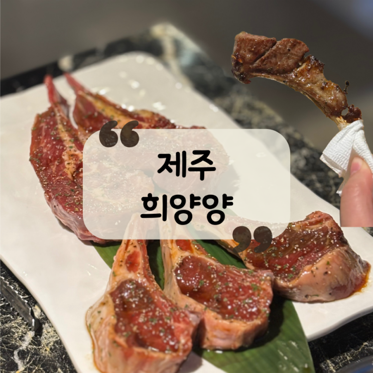 [제주 맛집]제주 노형동 양고기 맛집|마라탕, 양탕 맛집“희양양”노형직영점 : 네이버 블로그