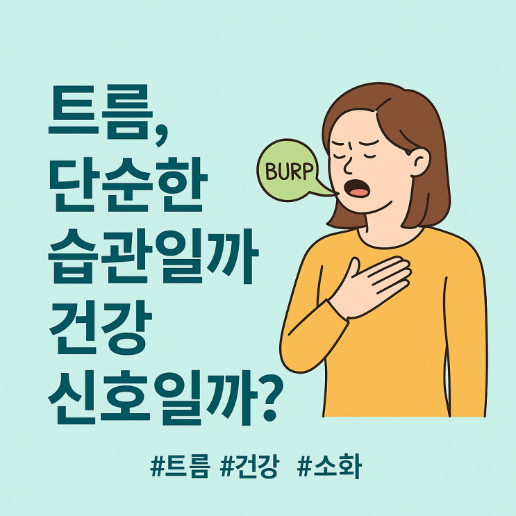 트름, 몇 번까지 괜찮을까? 건강 신호일 수도 있습니다 : 네이버 블로그