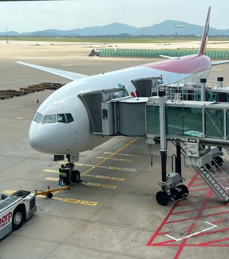 티웨이항공 이탈리아 로마 직항 탑승 후기, 저가항공 장거리 여행 찐 리뷰TW405,TW406 : 네이버 블로그