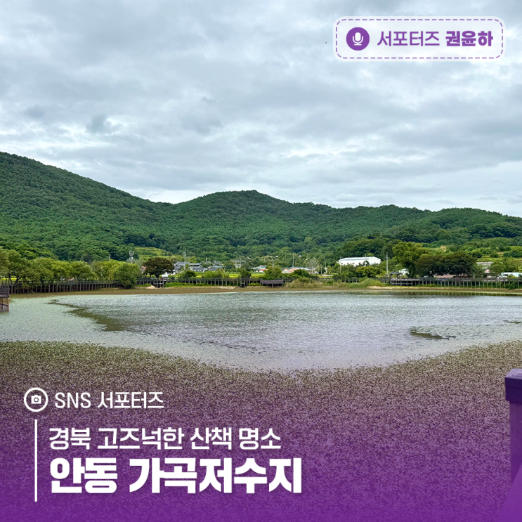 경북 고즈넉한 산책 명소 안동 가곡저수지 : 네이버 블로그