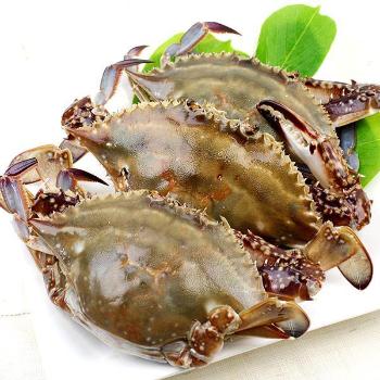 꽃게 음식물쓰레기? 일반쓰레기? : 네이버 블로그