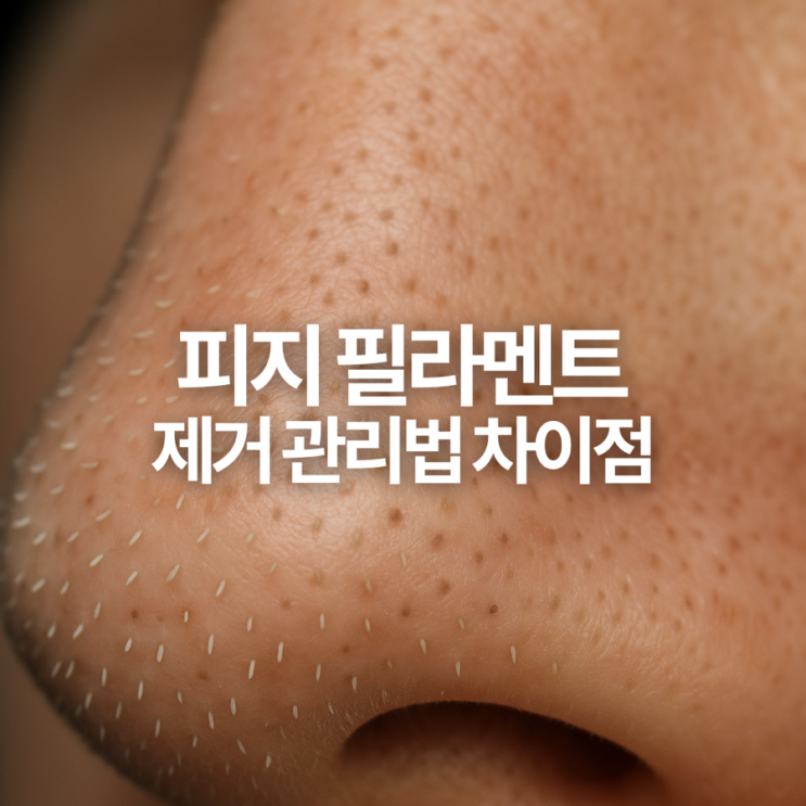 피지 필라멘트 제거? 관리법부터 블랙헤드와의 차이점까지 : 네이버 블로그