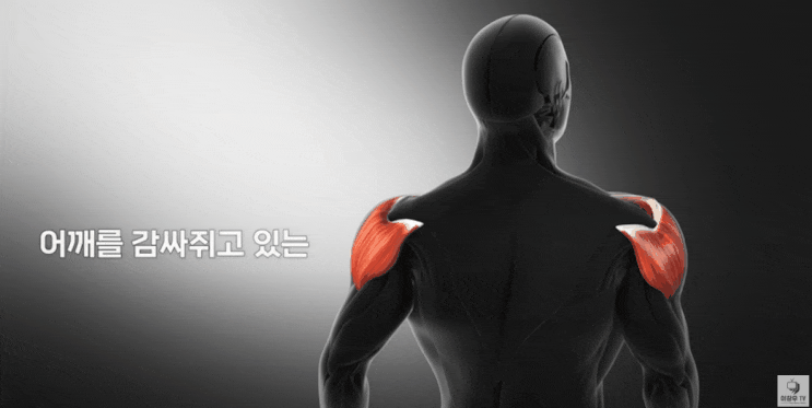 역삼동 정형외과, 어깨 아파 잠 못 이루신다면 ‘회전근개파열’ 의심해보세요 : 네이버 블로그