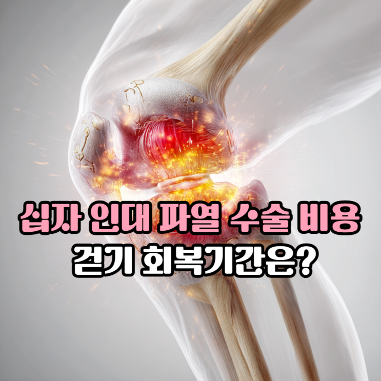 십자 인대파열 수술 비용과 걷기 가능한 회복기간은? : 네이버 블로그