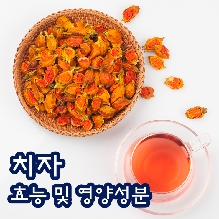 치자 효능 및 섭취 주의사항에 대해서 : 네이버 블로그