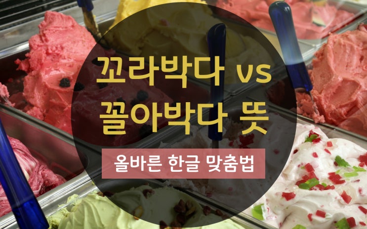 꼬라박다 꼴아박다 뜻 영어로, 맞춤법 표준어 사투리 : 네이버 블로그