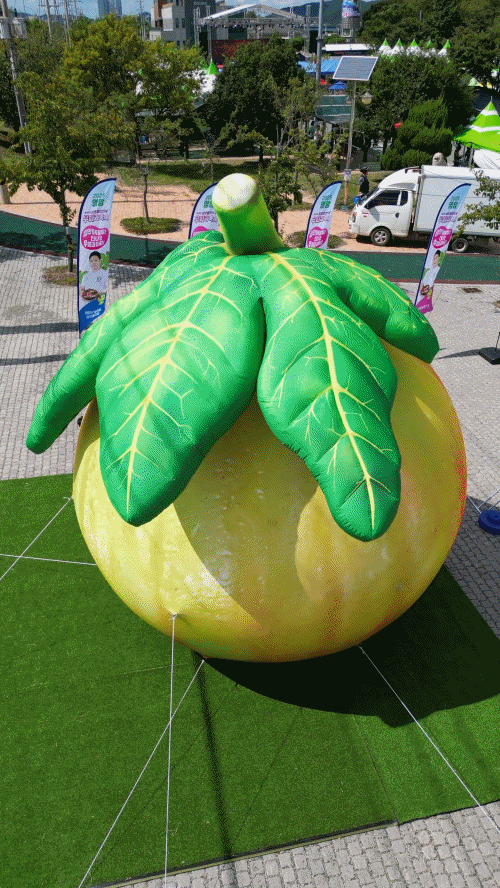 2025 영암 무화과 축제에 나타난 5미터 거대 무화과의 정체는?🍐👈🏻 : 네이버 블로그