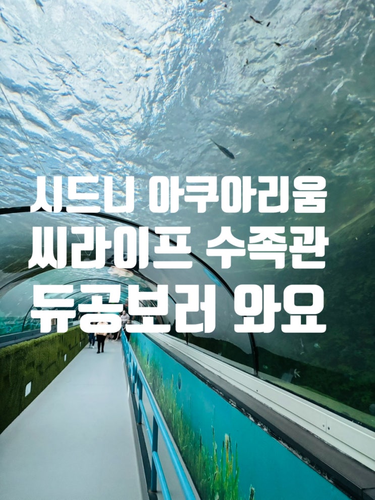 호주 시드니 여행 아쿠아리움 씨라이프 시드니 수족관 듀공