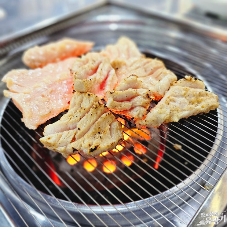 부산 양곱창 맛있는곳 자갈치양곱창 몬도가네 특양 연탄구이 : 네이버 블로그