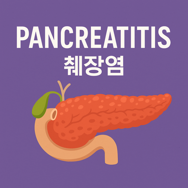 의학용어 Pancreatitis (췌장염) 뜻 알아보기, 완벽정리 : 네이버 블로그