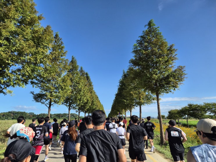 2025 안산마라톤대회 10km 후기 (feat. 배번호와 기념품, 주차, 코스)