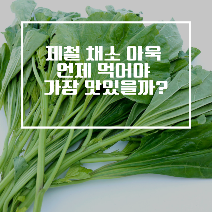 제철 채소 아욱 – 언제 먹어야 가장 맛있을까? : 네이버 블로그