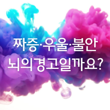 [뇌와 감정조절]“짜증·우울·불안… 혹시 뇌의 경고일까요?”