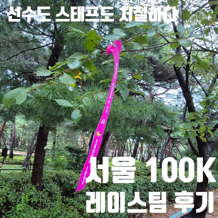 트레일러닝 대회 후기 서울100K 코스팀 스태프로 참여한 특별한 1박2일 경험기