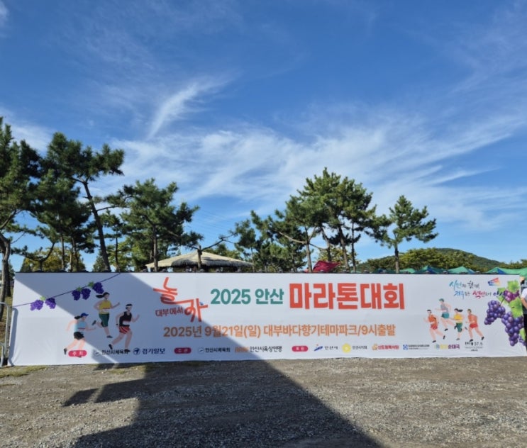 2025 안산 마라톤대회 5km 참가 후기