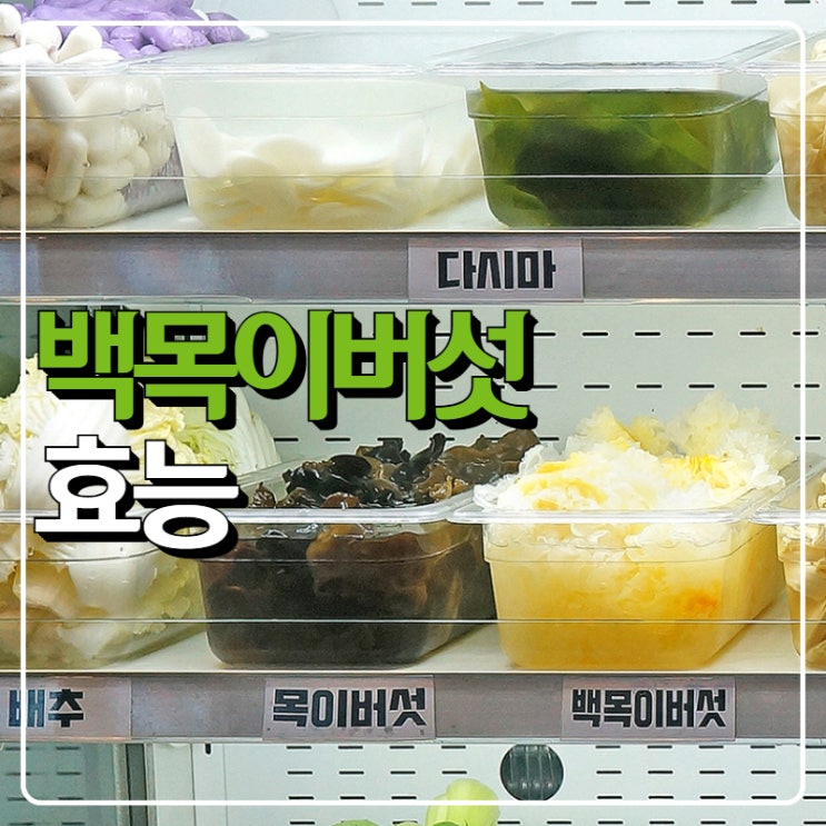 백목이버섯 효능 6가지 꼼꼼하게 (은이버섯) : 네이버 블로그