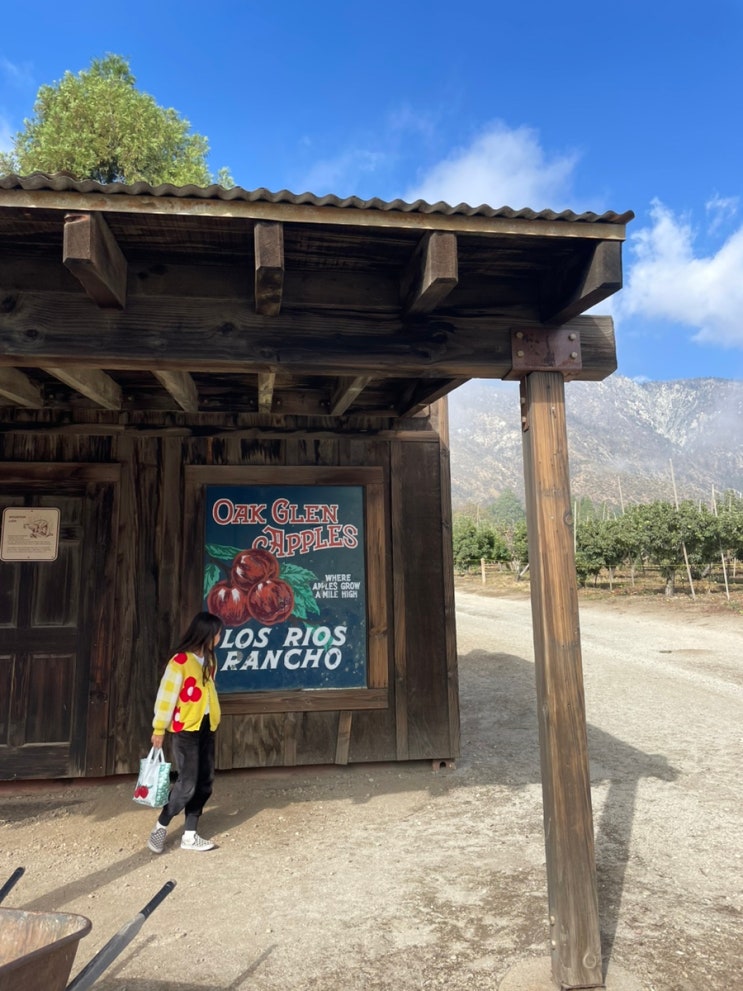 엘에이 LA 일상 | 가을 여행, 사과 농장 🍎 Los Rios Rancho : 네이버 블로그
