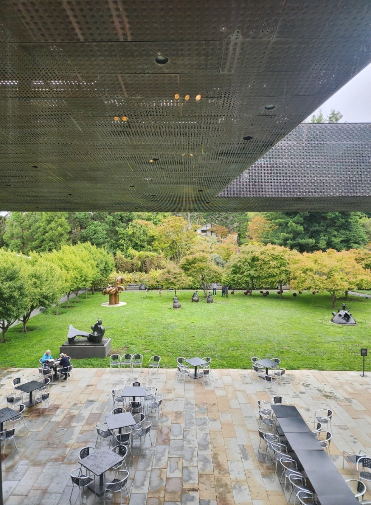 캘리포니아 | 샌프란시스코, 드영 아트뮤지엄 de Young Museum