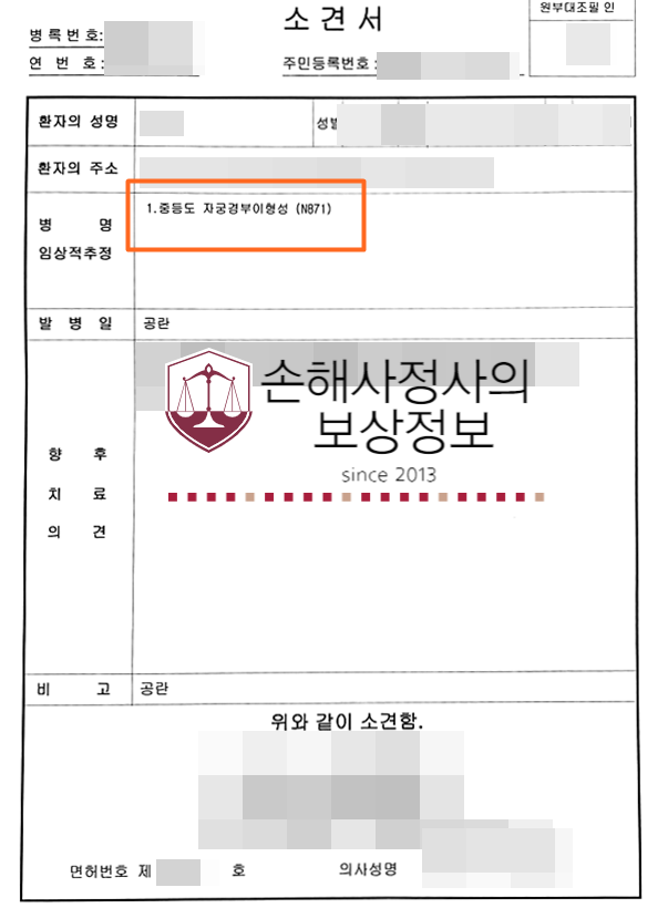 N871 산부인과 진단, 진단비 보상은? : 네이버 블로그