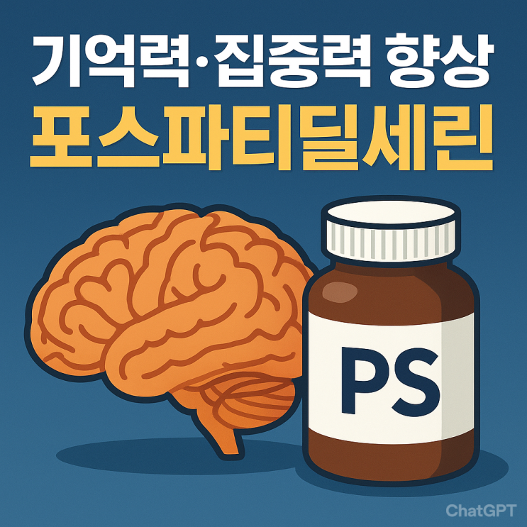치매 예방, 기억력 및 집중력 향상에 탁월한 포스파티딜세린 - 두뇌 건강의 핵심 영양소 : 네이버 블로그