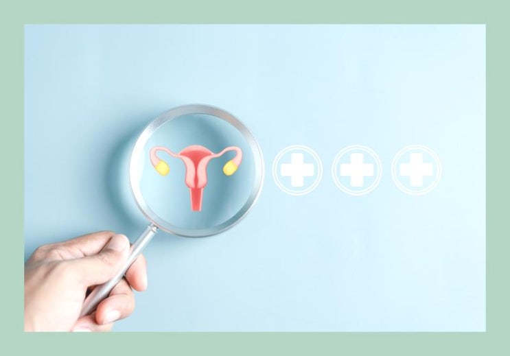 출산 후 생리 주기 이해하기 : 네이버 블로그
