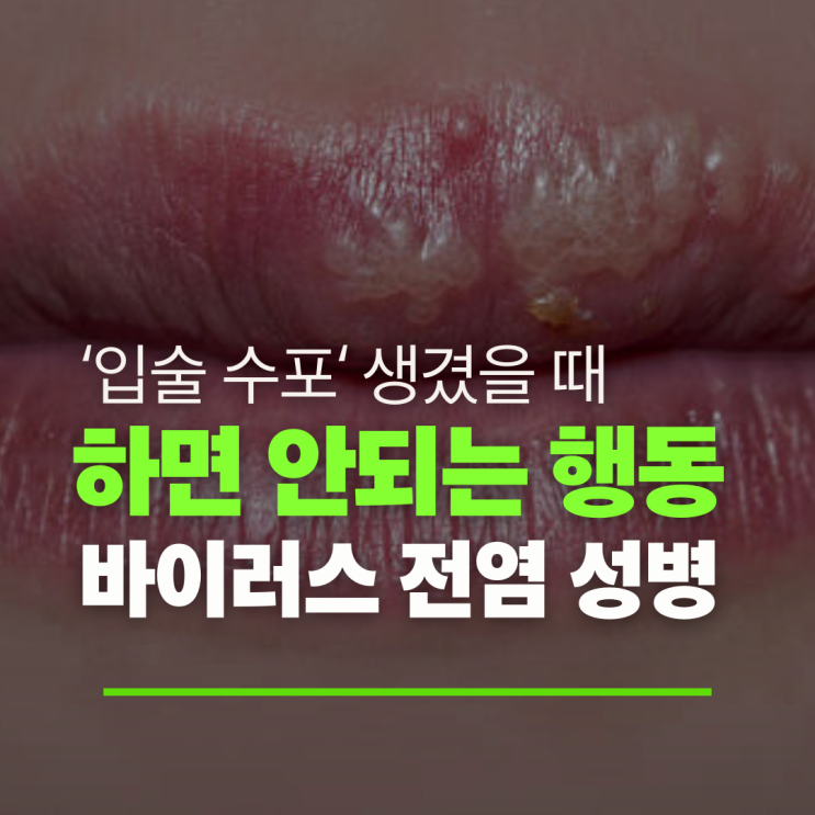 입술수포 전염 헤르페스 성병과 차이 치료방법 : 네이버 블로그