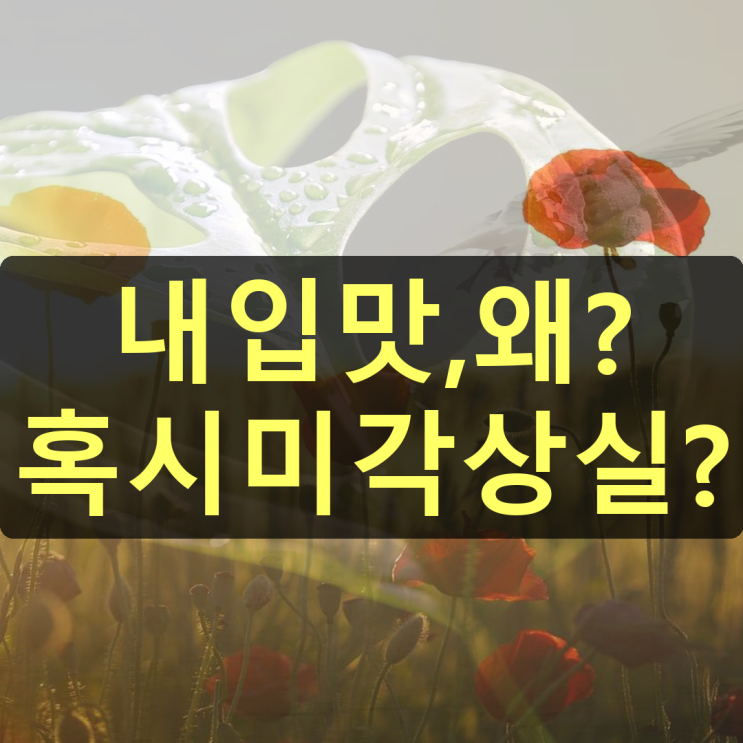 미각 변화 미각상실 원인 : 네이버 블로그