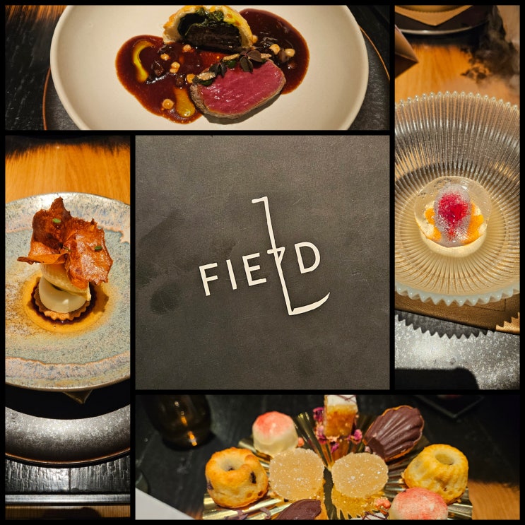 프라하 미슐랭 1스타 레스토랑 필드 FIELD 디너 코스 예약 방법 가격 ....