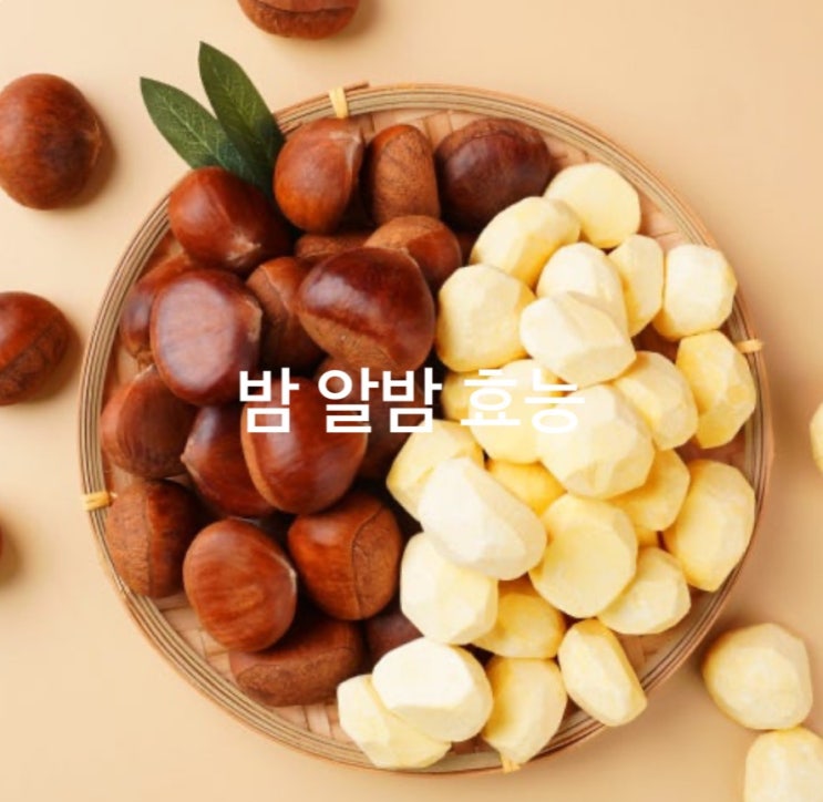 밤 알밤 효능 : 네이버 블로그