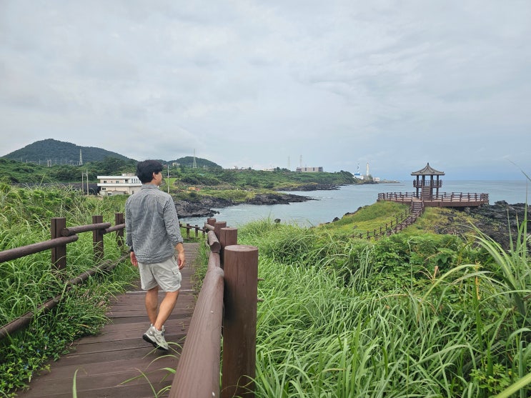 제주도 10월 가볼만한곳 제주여행 억새명소 제주 닭머르해안길 올레....
