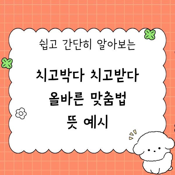 치고박다 치고받다 올바른 맞춤법 뜻 예시 : 네이버 블로그