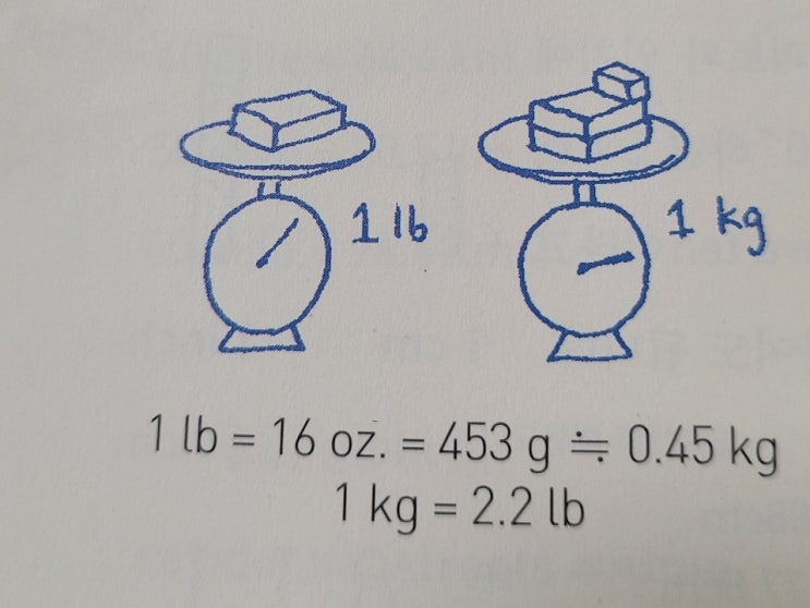 weight(무게) / 온스 / 파운드 / 살이 찌다, 살이 빠지다 : 네이버 블로그
