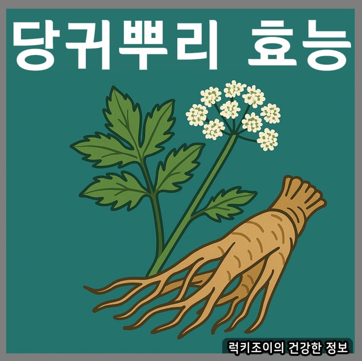 당귀뿌리 효능,먹는법과 부작용 알아보기 : 네이버 블로그