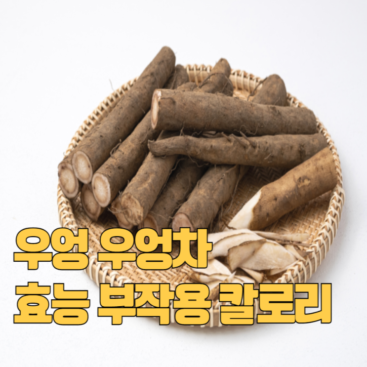 우엉 효능 우엉차 부작용 칼로리 : 네이버 블로그