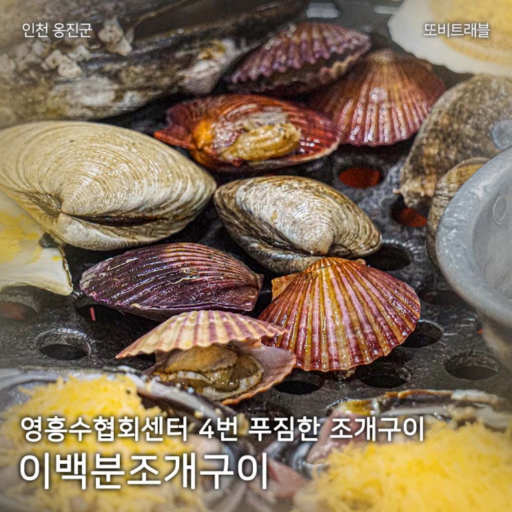 인천 영흥수협회센터 신선한 조개구이 극강의 가성비 이백분조개구이 : 네이버 블로그