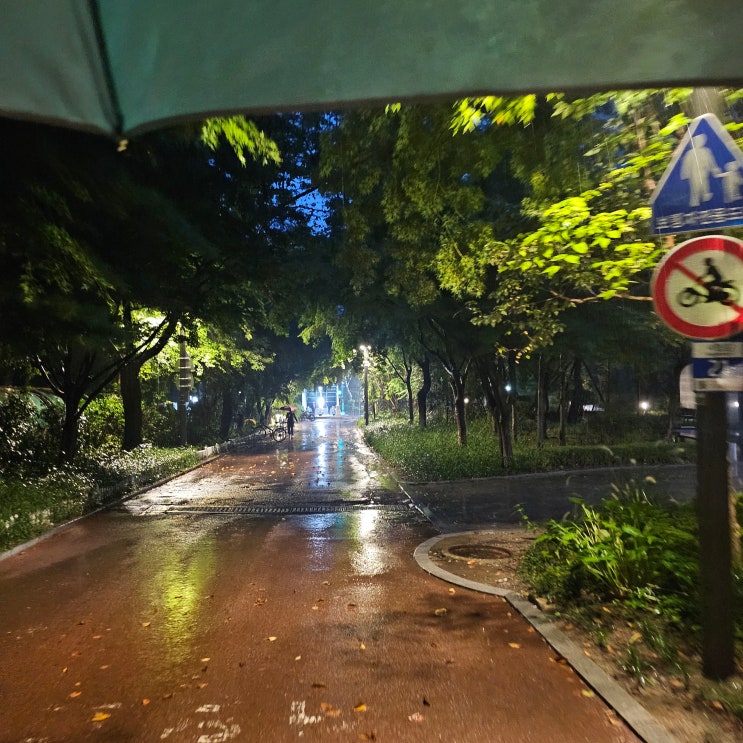 뉴발란스 Run your way 2025 10K 마라톤, 우중런은 포기했지만...