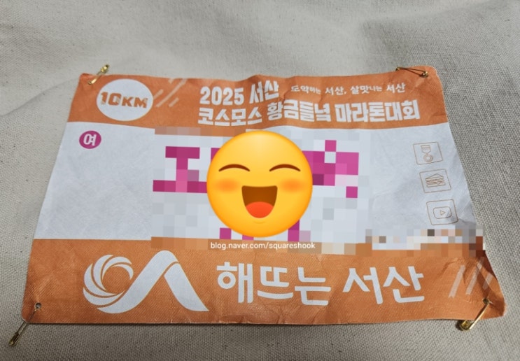 2025 서산 코스모스 황금들녘 마라톤 경험해봄 (10km 우중 마라톤 후기)