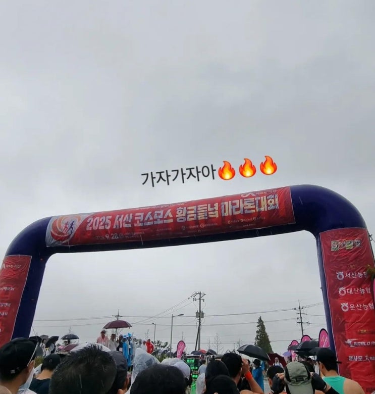 25.09.28 / D-day!! 2025년 서산 코스모스 황금들녘 마라톤 대회 5km 참가 / 우중마라톤 폭우마라톤