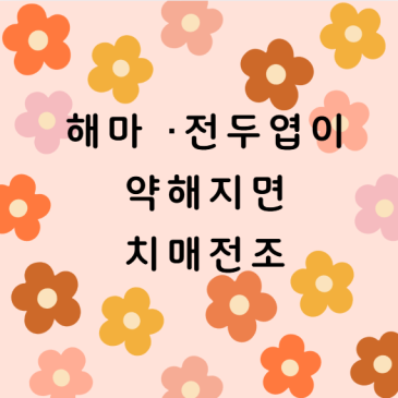 “해마·전두엽이 약해질 때 나타나는 치매 전조”