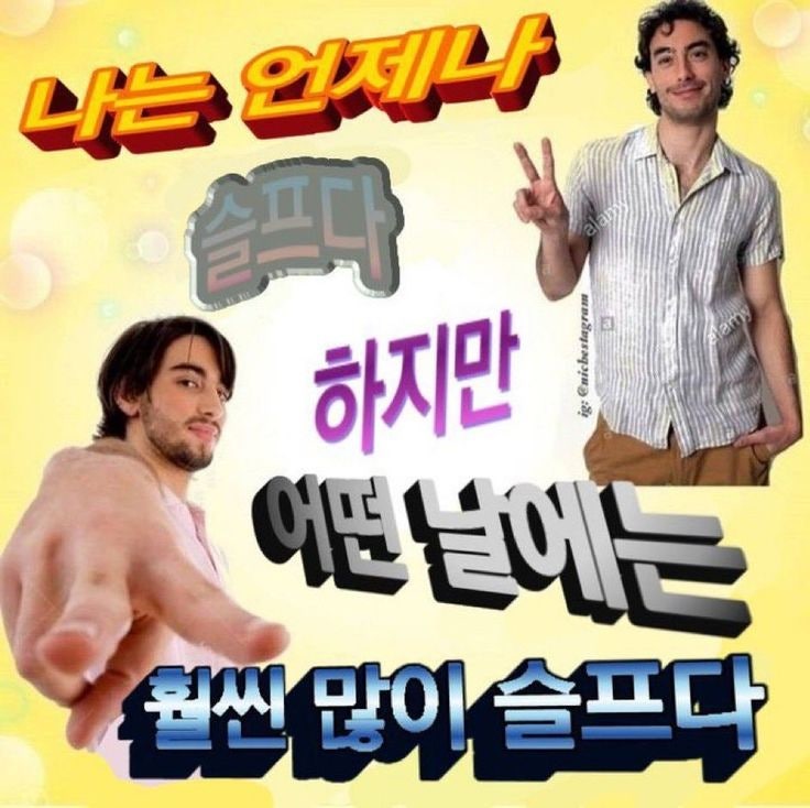 [짤모음] 내 취향 짤 540개 : 네이버 블로그
