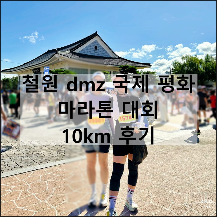 철원 dmz 국제 평화 마라톤 대회 고석정 무료 셔틀 10km 코스 후기